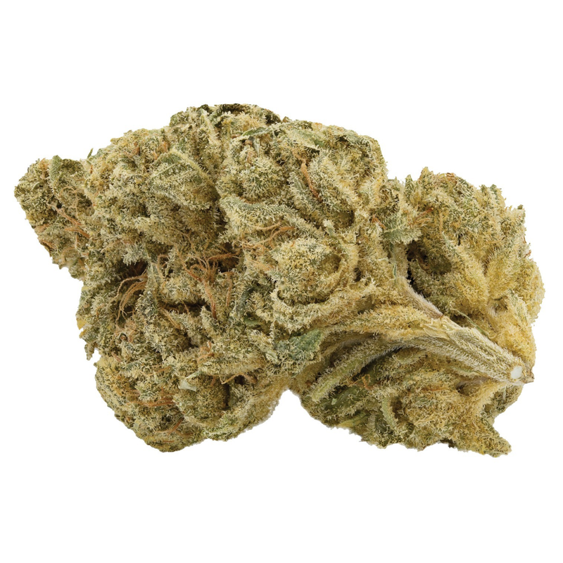 Sticky Larry by Artisan Batch-Morden Cannabis and Bong Shop, Manitoba Artisan Batch Flower 3.5g Sticky Larry by Artisan Batch