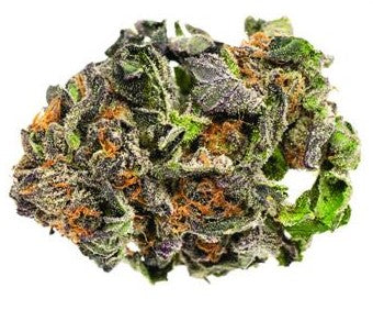 Subway Scientist Grand Daddy Purps by RIFF-Morden Cannabis and Bong  RIFF Flower 3.5g Subway Scientist Grand Daddy Purps by RIFF