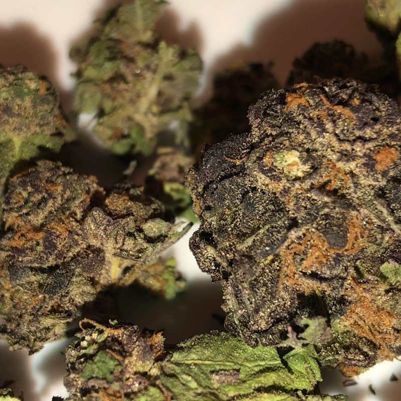 Subway Scientist Grand Daddy Purps by RIFF-Morden Cannabis and Bong  RIFF Flower 3.5g Subway Scientist Grand Daddy Purps by RIFF