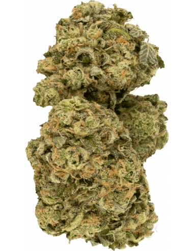 Table Top Flower 14g Table Top San Fran Sourdough-14g-Morden Vape SuperStore & Cannabis