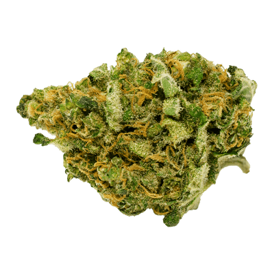 THC Biomed Flower 3.5g Black Magic Premium Sativa-THC Biomed-Morden Vape SuperStore & Cannabis
