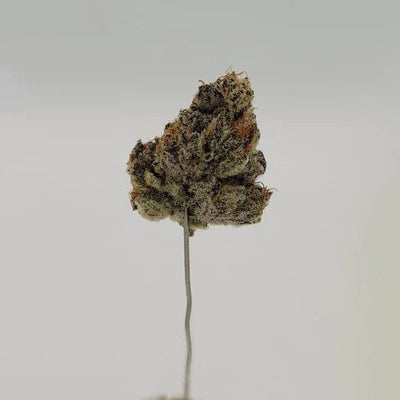 Western Cannabis Flower 7g